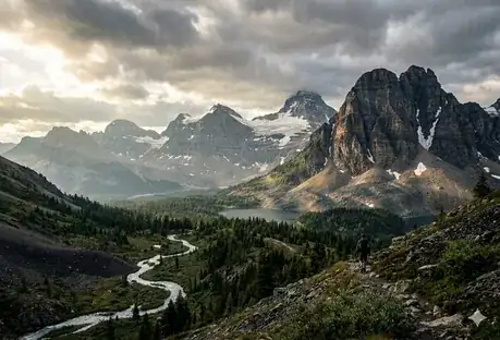 Real Landscape